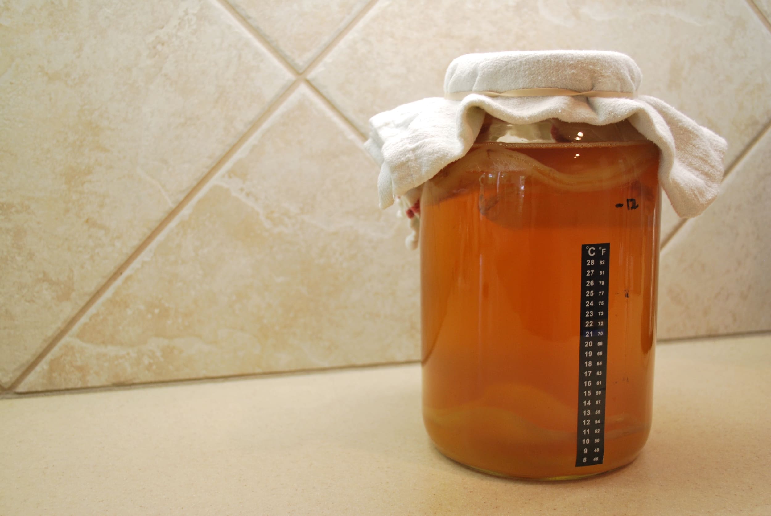 How to Make and Maintain a SCOBY Hotel