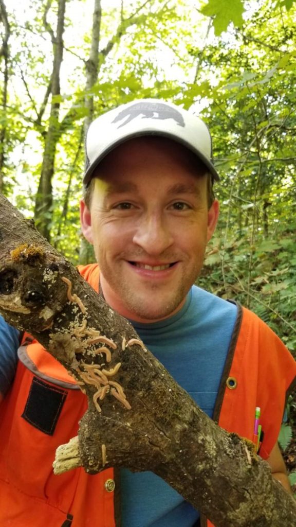 Dr. Matt Kasson holding a stick with large and small feather millipedes on it.