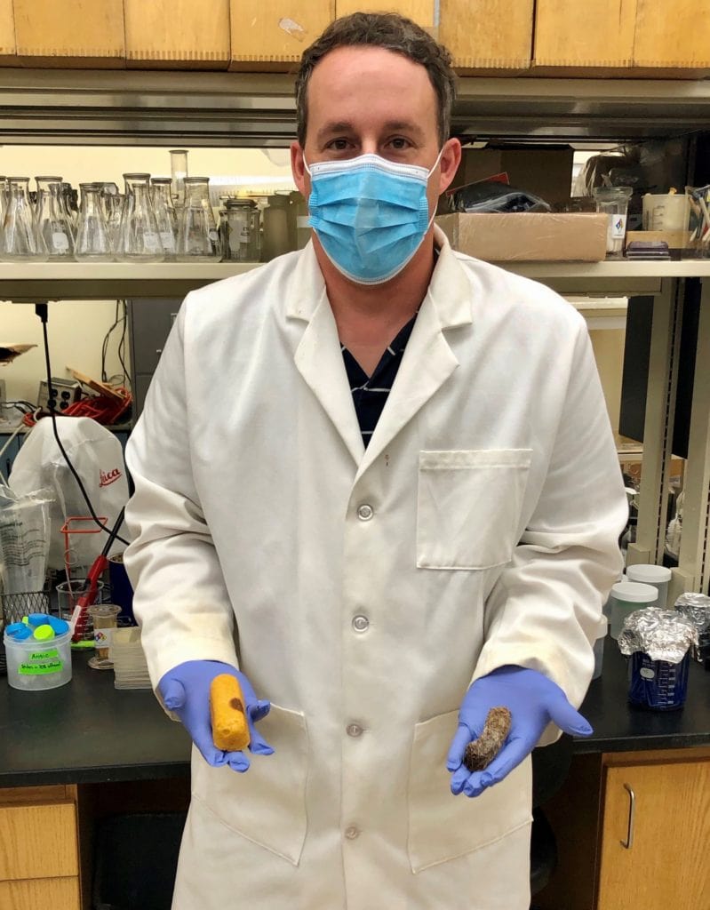 Dr. Matt Kasson in a lab coat holding two moldy twinkies with purple gloves and a face mask.