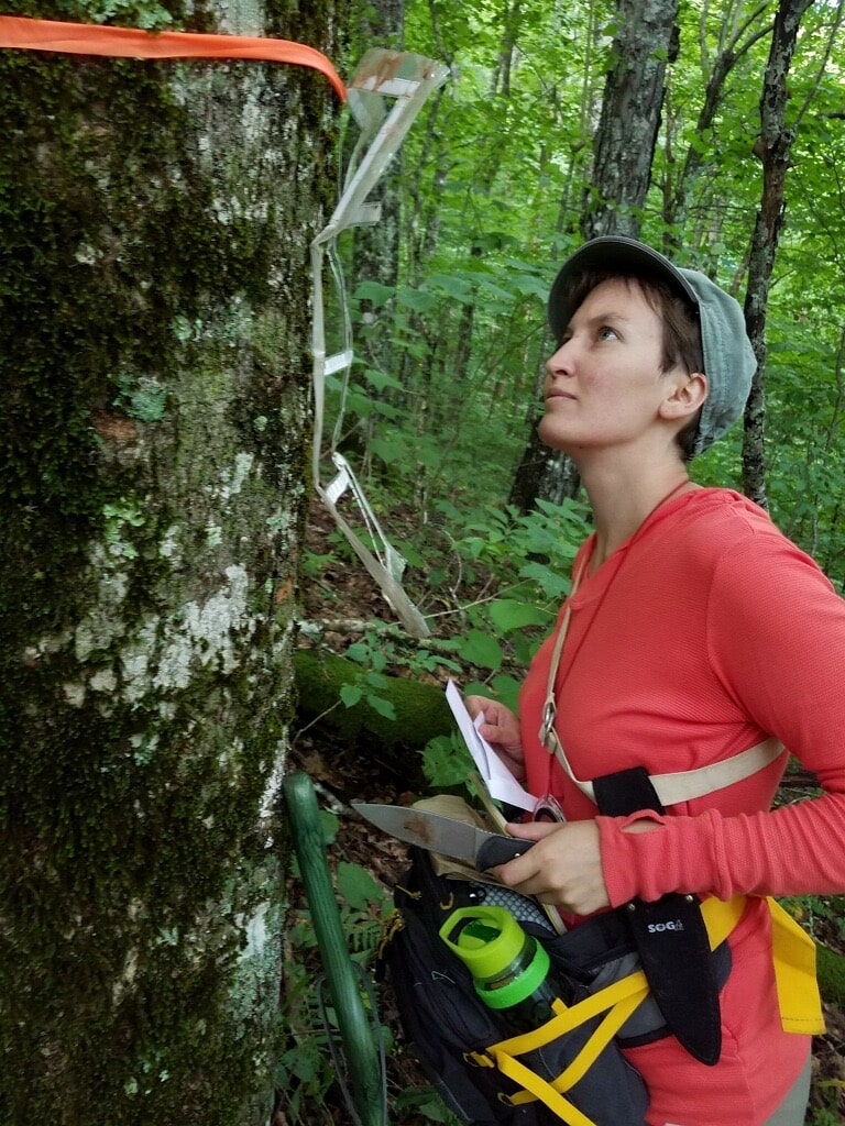 Dr. Klara Scharnagl in a red shirt looking at a tree covered in lichens.