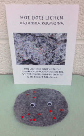 Lichen buddy that is gray with red dots and googly eyes and a card behind it with a photo of the actual lichen and a description.