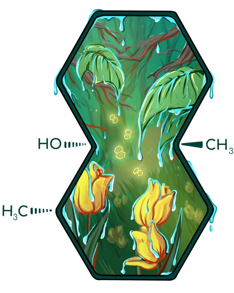 Chemical structure of geosmin filled in with a green woodland scene of leaves and yellow flowers with rain dripping from them and geosmin molecules in yellow floating in the air.
