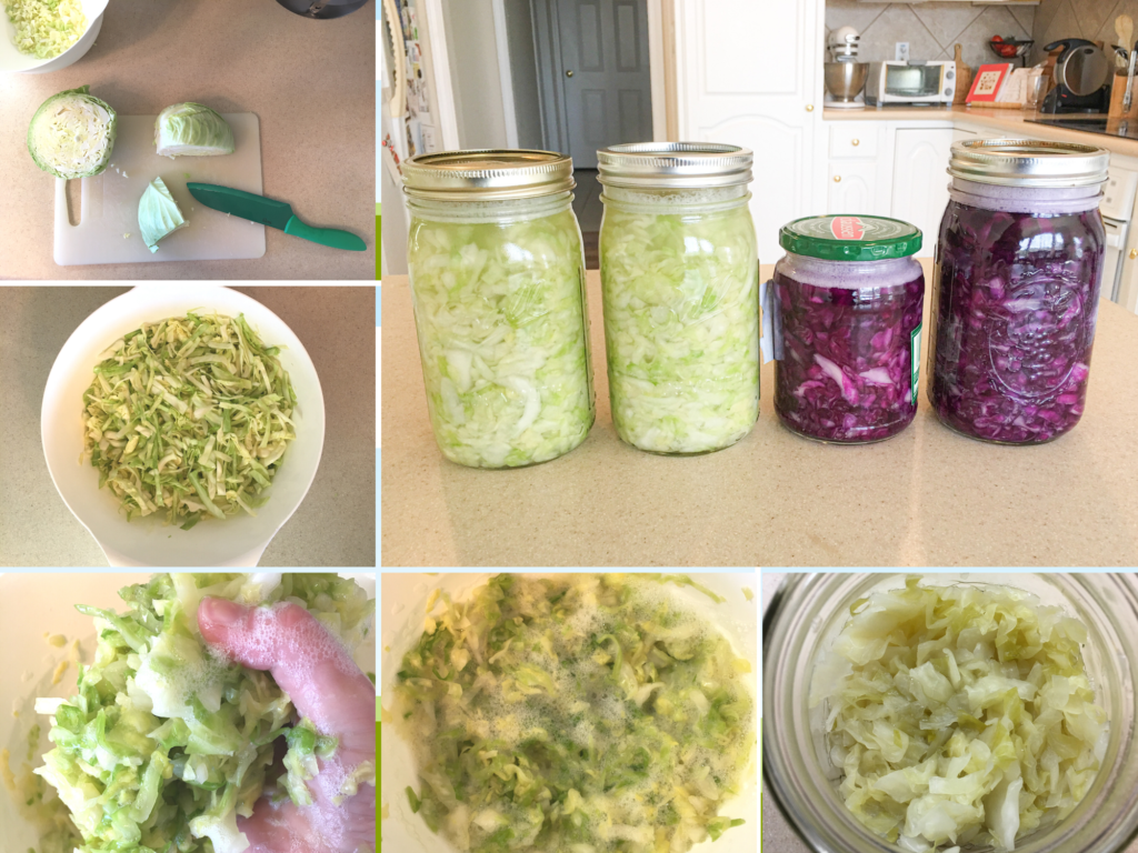 Steps to make sauerkraut.